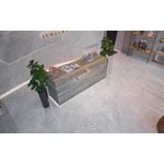 203083_alina_grey_1