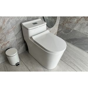 Sanitario Sena