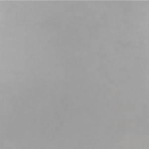 Porcelanato Pp Pro Concrete Ac 60X60 R