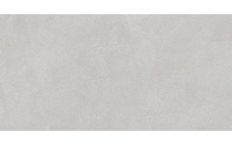 231081_2 -1-