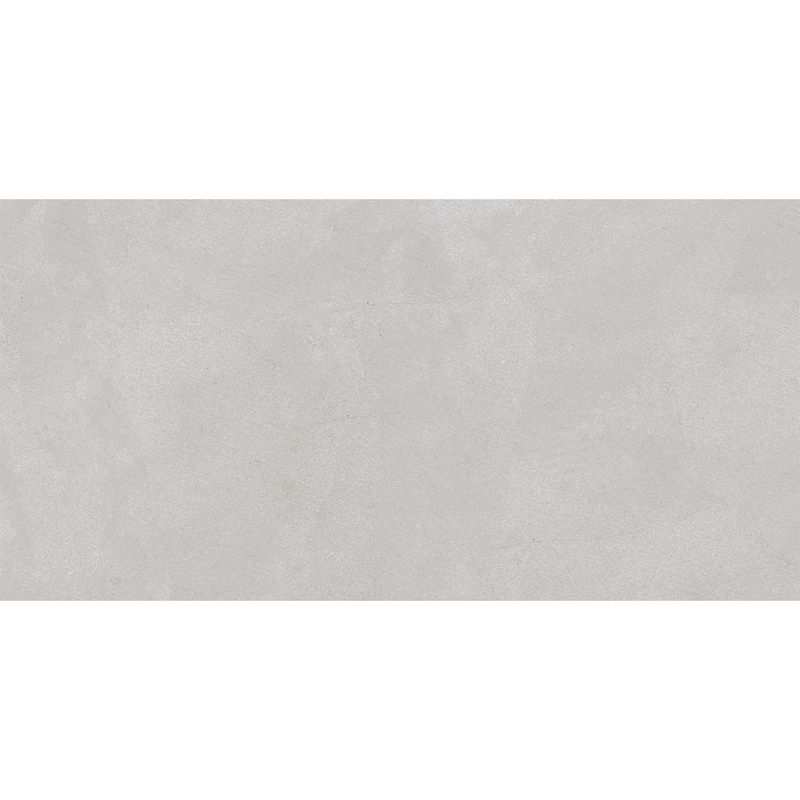 231081_V1